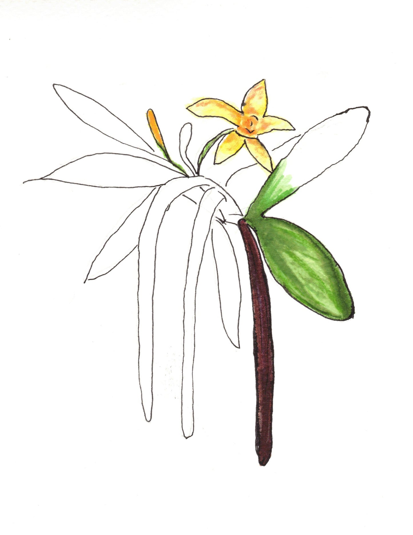 Reverse Watercolor Coloring - Therapeutic Art Collection 192