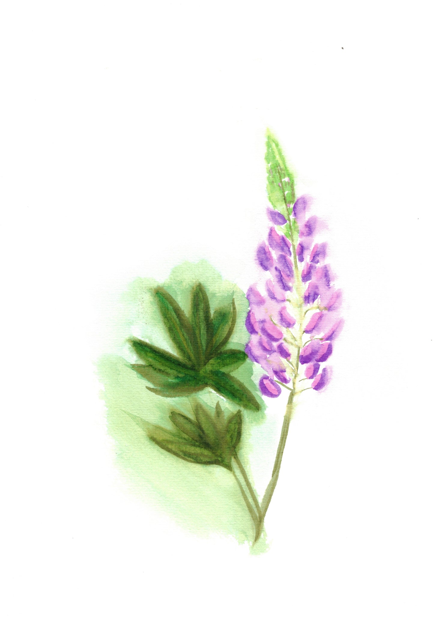 Reverse Watercolor Coloring - Therapeutic Art Collection 218