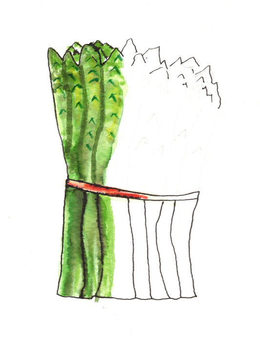 Reverse Watercolor Coloring - Therapeutic Art Collection 191