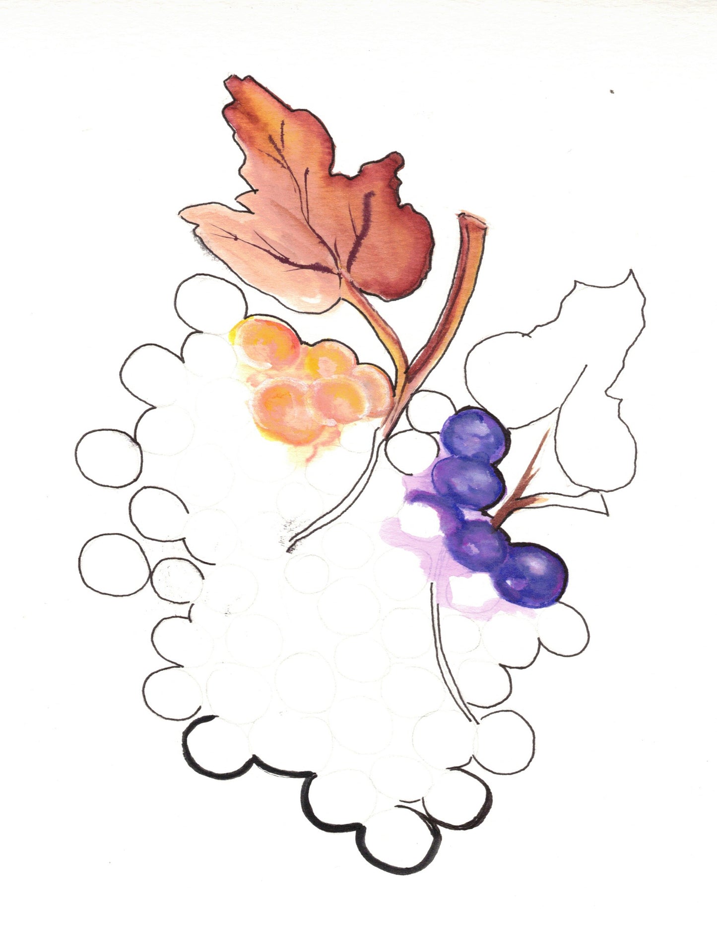 Reverse Watercolor Coloring - Therapeutic Art Collection 194