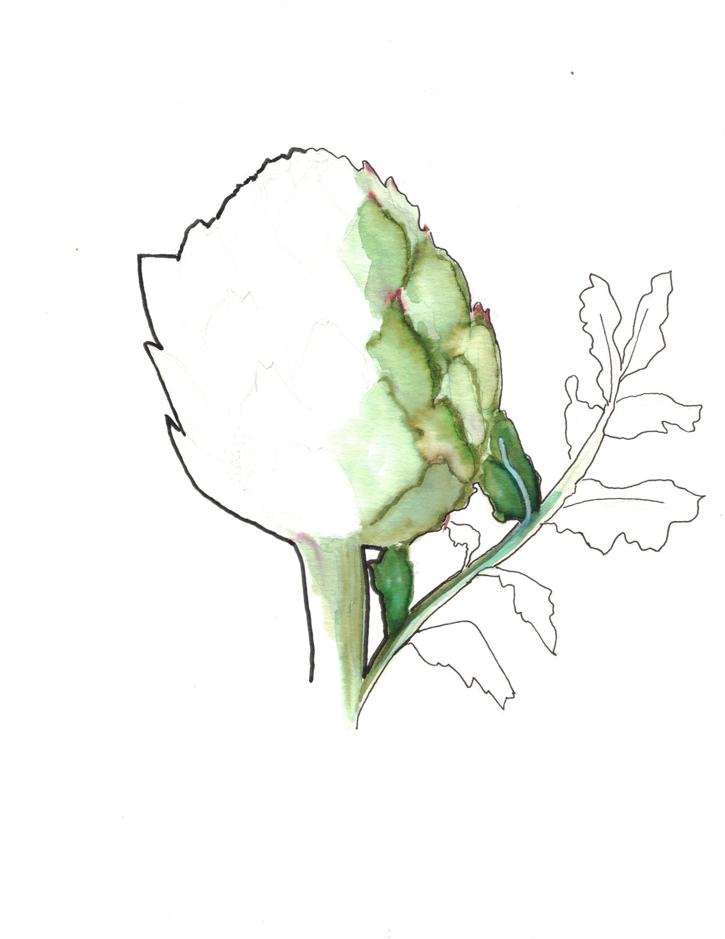 Reverse Watercolor Coloring - Therapeutic Art Collection 195