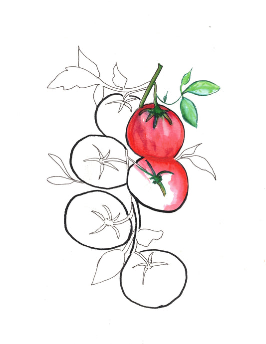 Reverse Watercolor Coloring - Therapeutic Art Collection 199