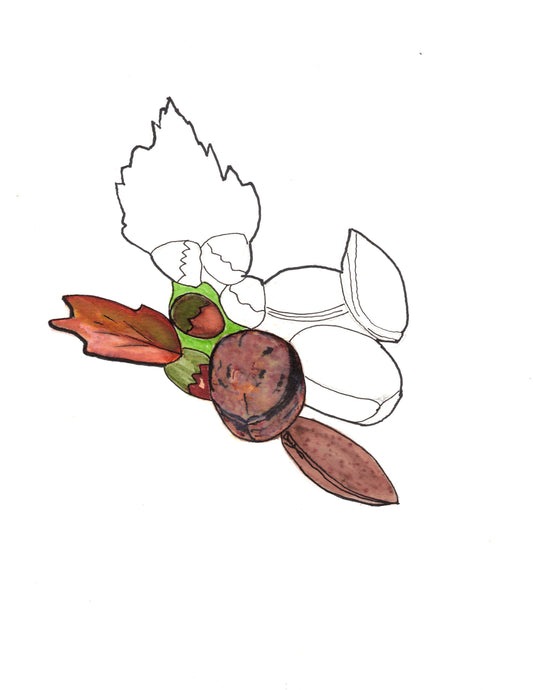 Reverse Watercolor Coloring - Therapeutic Art Collection 203