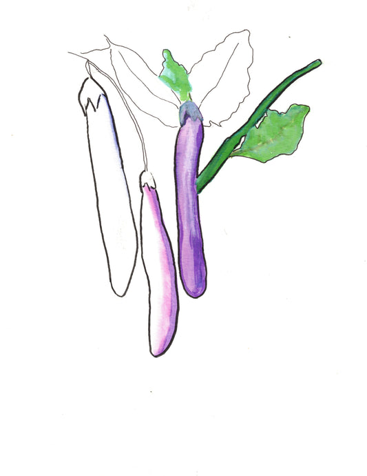 Reverse Watercolor Coloring - Therapeutic Art Collection 208