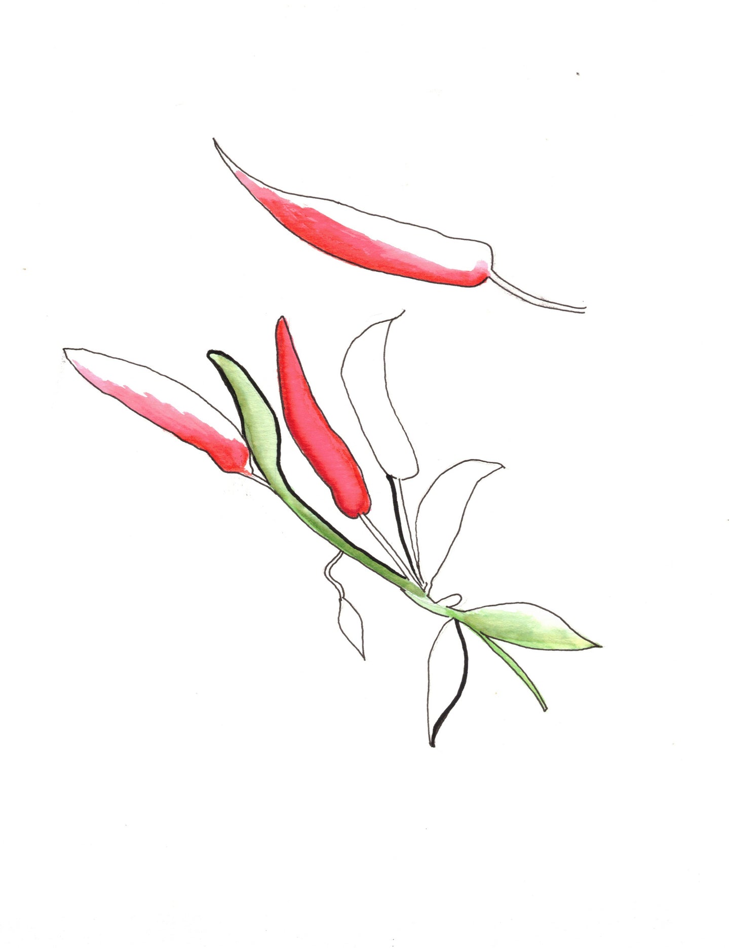 Reverse Watercolor Coloring - Therapeutic Art Collection 209