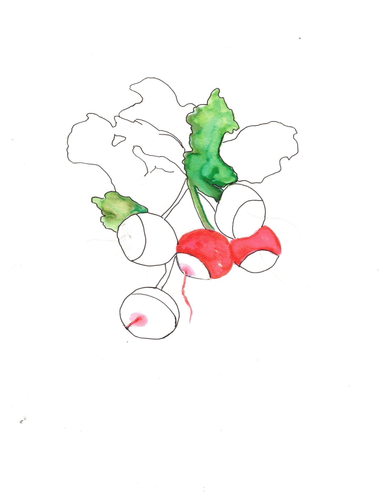 Reverse Watercolor Coloring - Therapeutic Art Collection 210