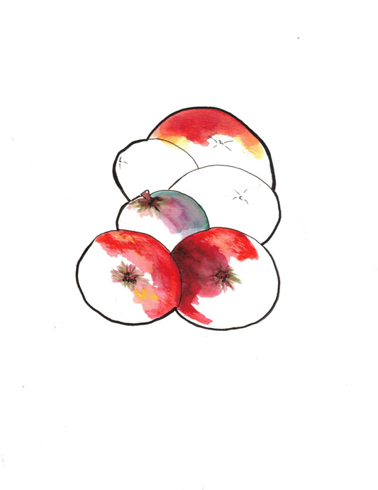 Reverse Watercolor Coloring - Therapeutic Art Collection 211