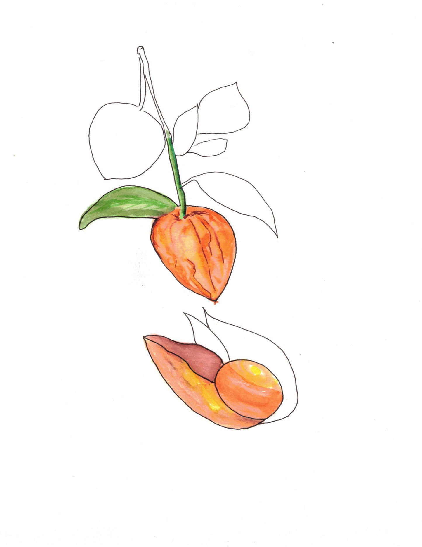 Reverse Watercolor Coloring - Therapeutic Art Collection 205