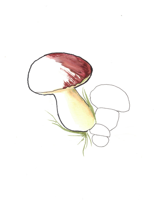 Reverse Watercolor Coloring - Therapeutic Art Collection 213