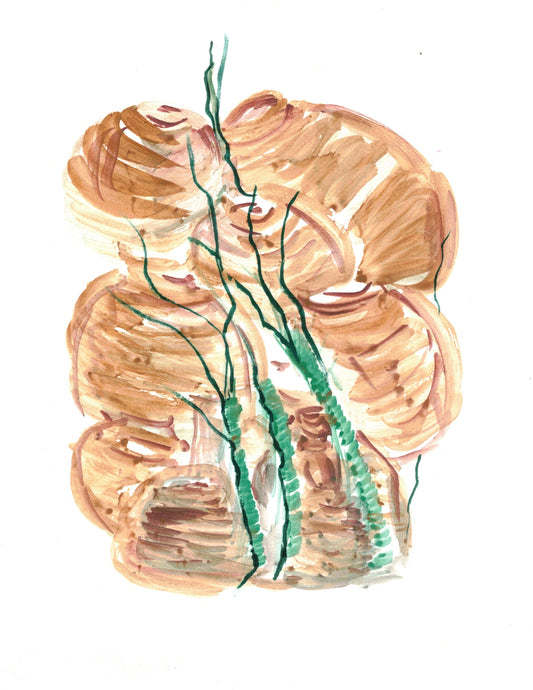 Reverse Watercolor Coloring - Therapeutic Art Collection 112